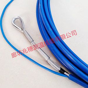 鋼板倉(cāng)專用測(cè)溫電纜 鋼板倉(cāng)專用測(cè)溫電纜