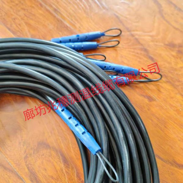 河北測溫用電纜 河北測溫用電纜