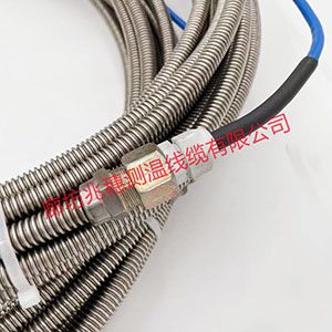 油罐測(cè)溫電纜 油罐測(cè)溫電纜