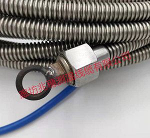 食用油測溫電纜 食用油測溫電纜