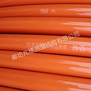 煤筒倉(cāng)測(cè)溫電纜 煤筒倉(cāng)測(cè)溫電纜