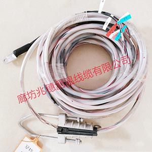 防水測(cè)溫電纜 防水測(cè)溫電纜