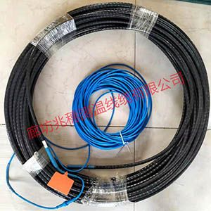 地源熱泵用測(cè)溫電纜