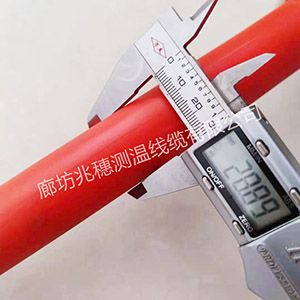 河北煤筒倉測溫電纜 河北煤筒倉測溫電纜