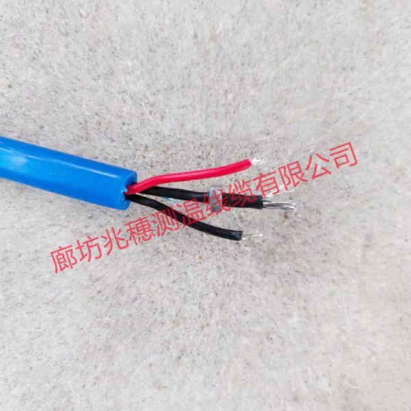 測(cè)溫線纜 測(cè)溫線纜