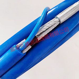 直銷(xiāo)數(shù)字測(cè)溫電纜連接組 直銷(xiāo)數(shù)字測(cè)溫電纜連接組