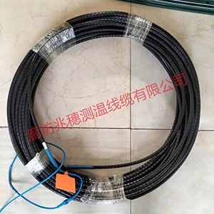 直銷地源熱泵測溫電纜 直銷地源熱泵測溫電纜