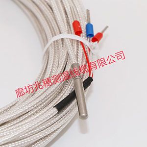 PT100傳感器 PT100傳感器