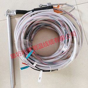銷售防水測(cè)溫電纜 銷售防水測(cè)溫電纜