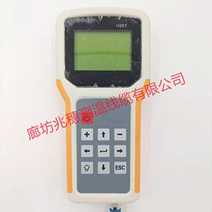 數(shù)字測溫手持儀銷售 數(shù)字測溫手持儀銷售