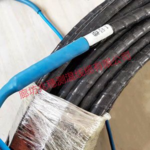 河北地泵熱源測溫電纜 河北地泵熱源測溫電纜